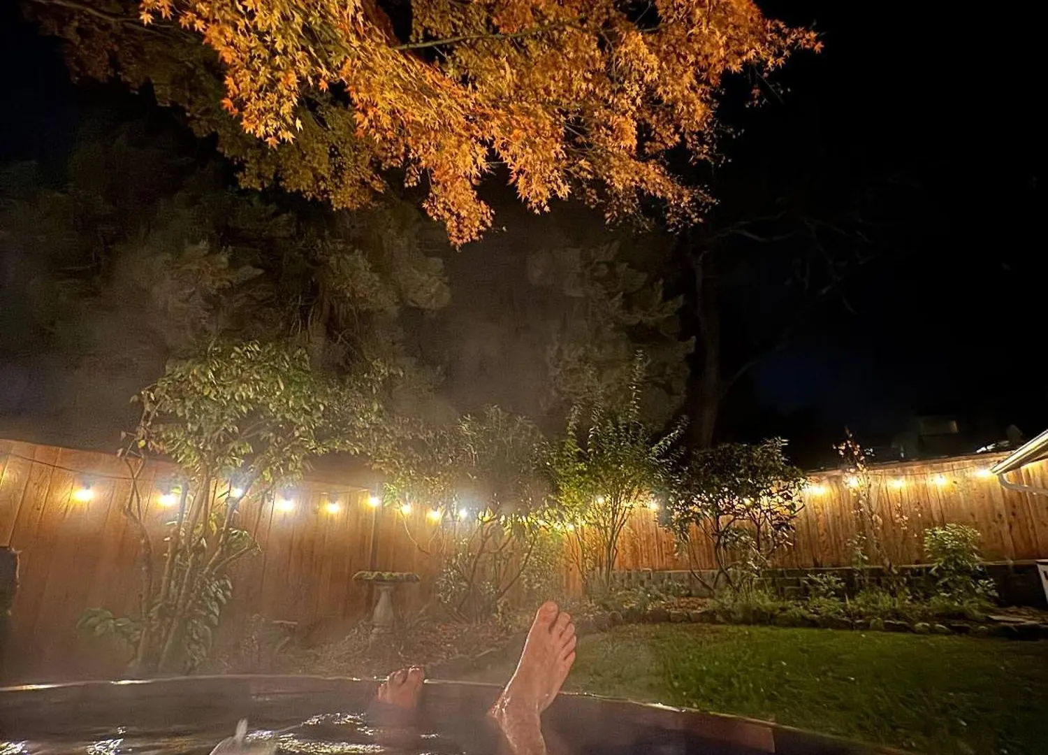 Greenlake Craftsman - Hot Tub, Ac, Dog Friendly Seattle United States